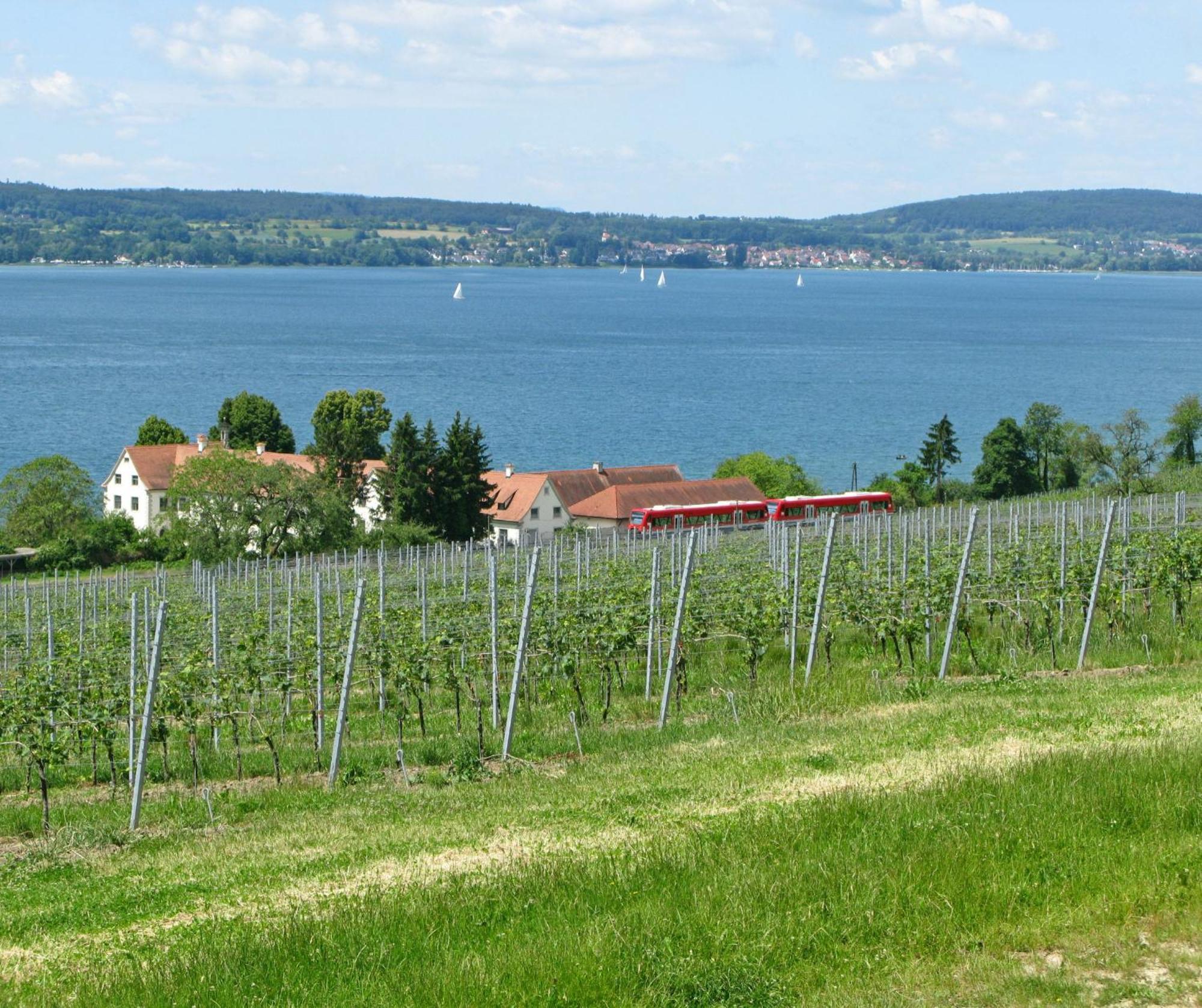 Apartamento Ueberlinger Ferienidylle Uberlingen Exterior foto